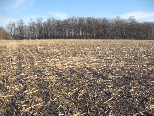 Property photo 16 - 44 Acres Offered in 3 Tracts